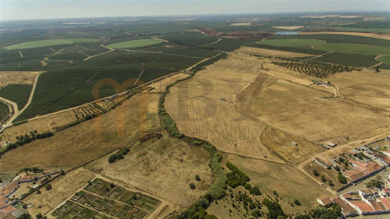 Terreno Agricola ou Rústico para Venda em Baleizão Foto 2