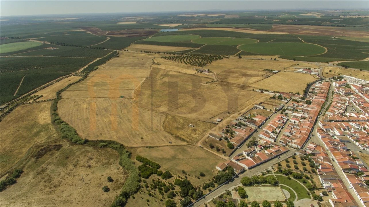 Terreno Agricola ou Rústico para Venda em Baleizão Foto 3