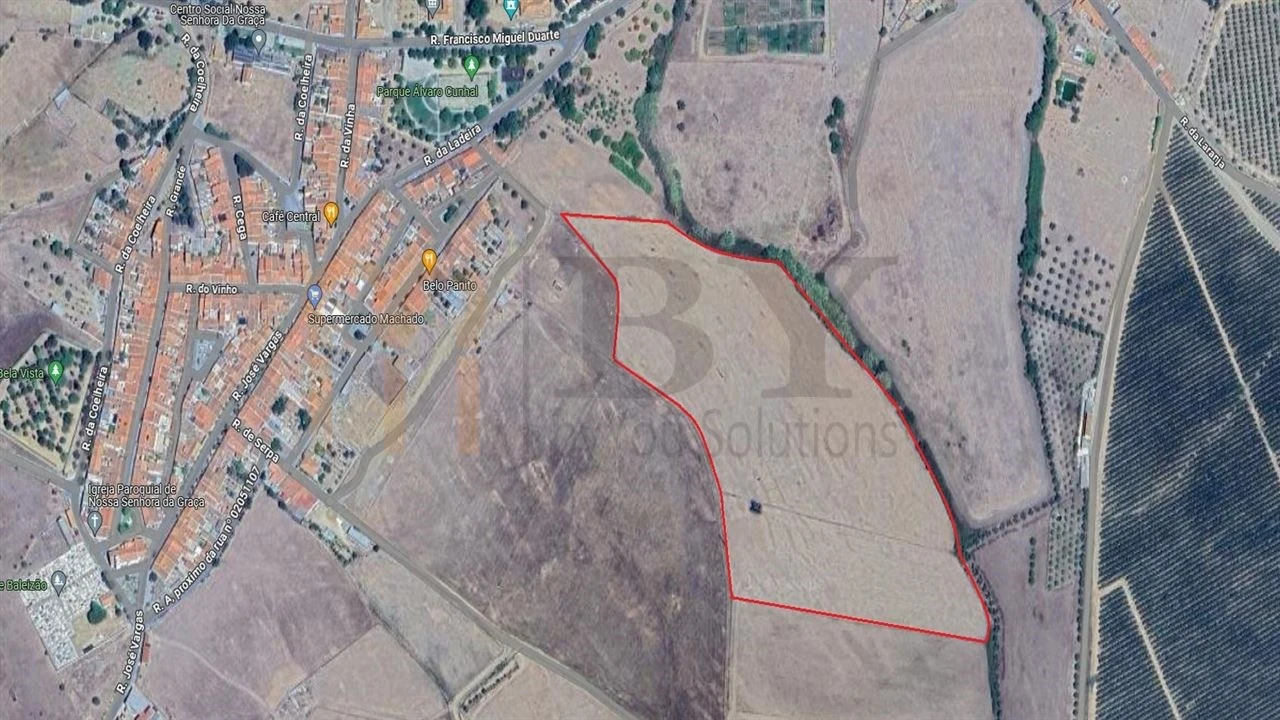 Terreno Agricola ou Rústico para Venda em Baleizão Foto 5