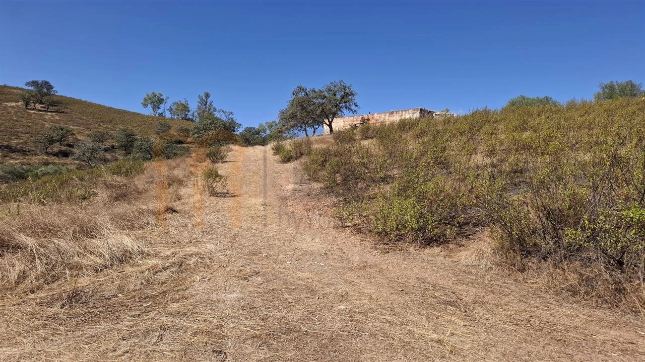 Terreno Agricola ou Rústico para Venda em Corte do Pinto Foto 6
