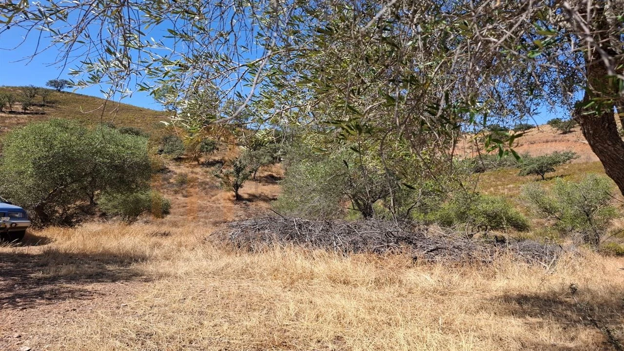 Terreno Agricola ou Rústico para Venda em Corte do Pinto Foto 7