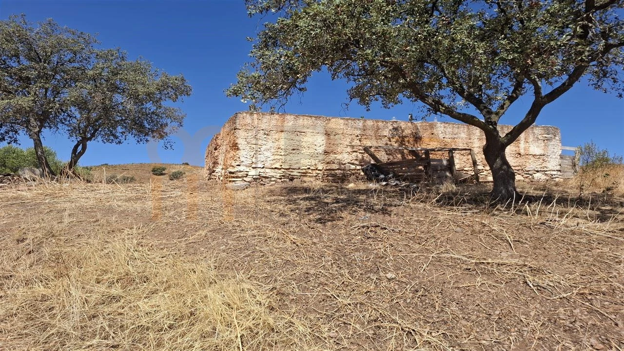 Terreno Agricola ou Rústico para Venda em Corte do Pinto Foto 8