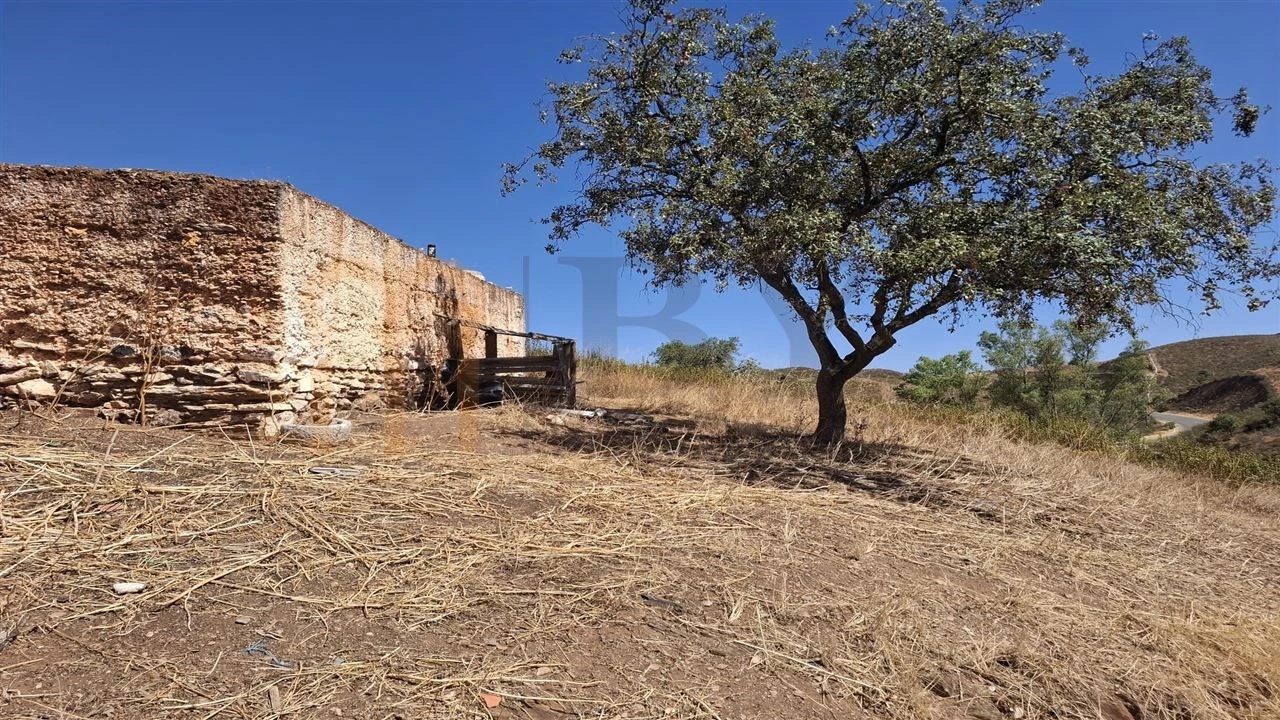 Terreno Agricola ou Rústico para Venda em Corte do Pinto Foto 9