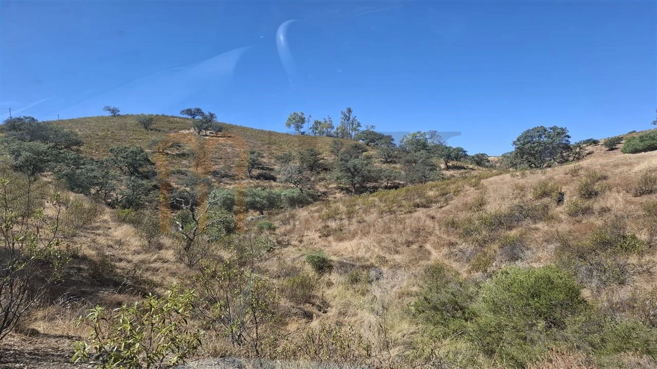 Terreno Agricola ou Rústico para Venda em Corte do Pinto Foto 12