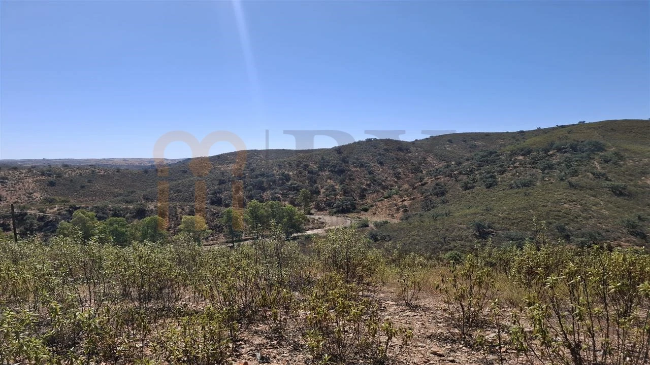 Terreno Agricola ou Rústico para Venda em Corte do Pinto Foto 13