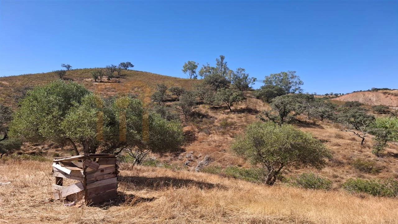 Terreno Agricola ou Rústico para Venda em Corte do Pinto Foto 14