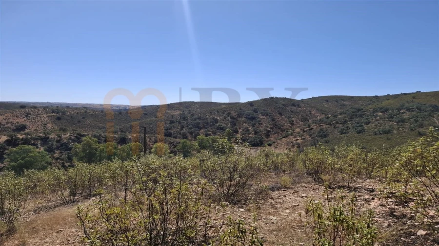 Terreno Agricola ou Rústico para Venda em Corte do Pinto Foto 1