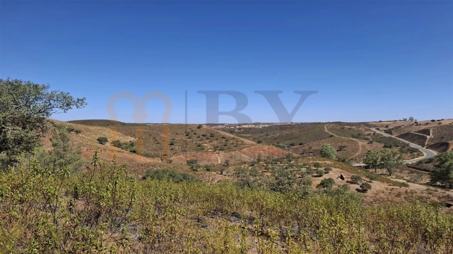 Terreno Agricola ou Rústico para Venda em Corte do Pinto Foto 2