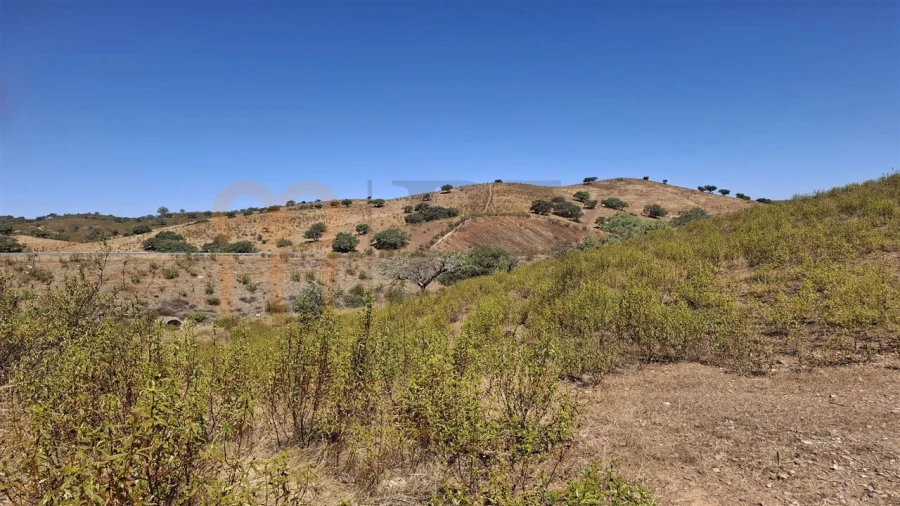 Terreno Agricola ou Rústico para Venda em Corte do Pinto Foto 3