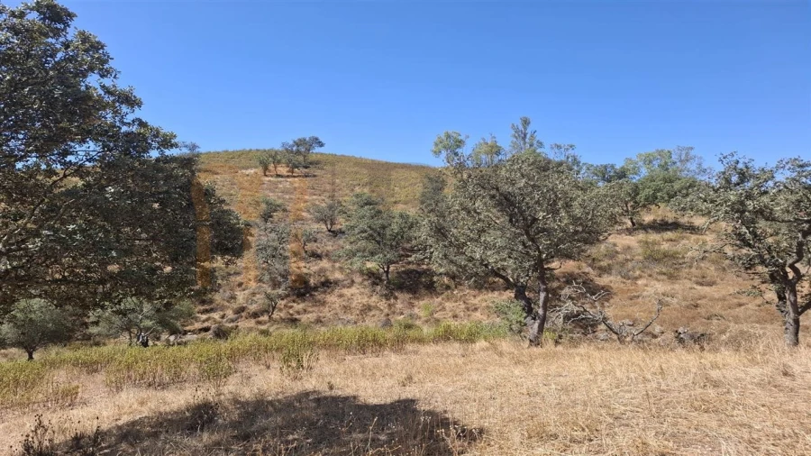 Terreno Agricola ou Rústico para Venda em Corte do Pinto Foto 11