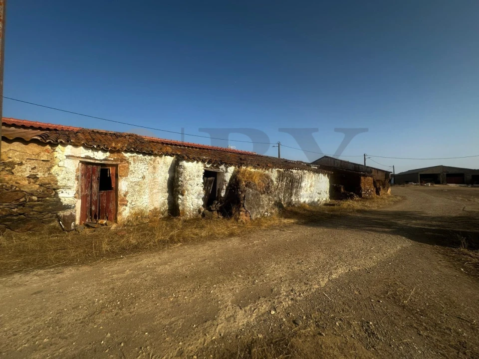 Terreno para Venda em Mertola Foto 4