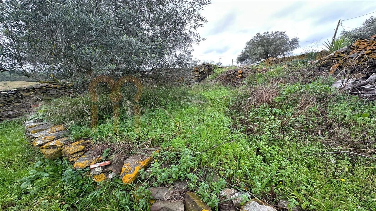 Moradia para Venda em Espirito Santo Foto 4