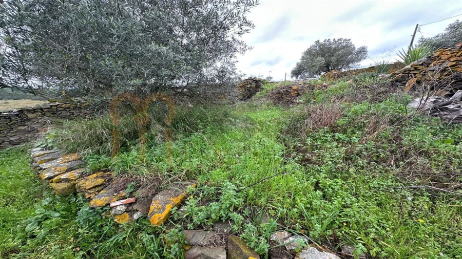 Moradia para Venda em Espirito Santo Foto 4