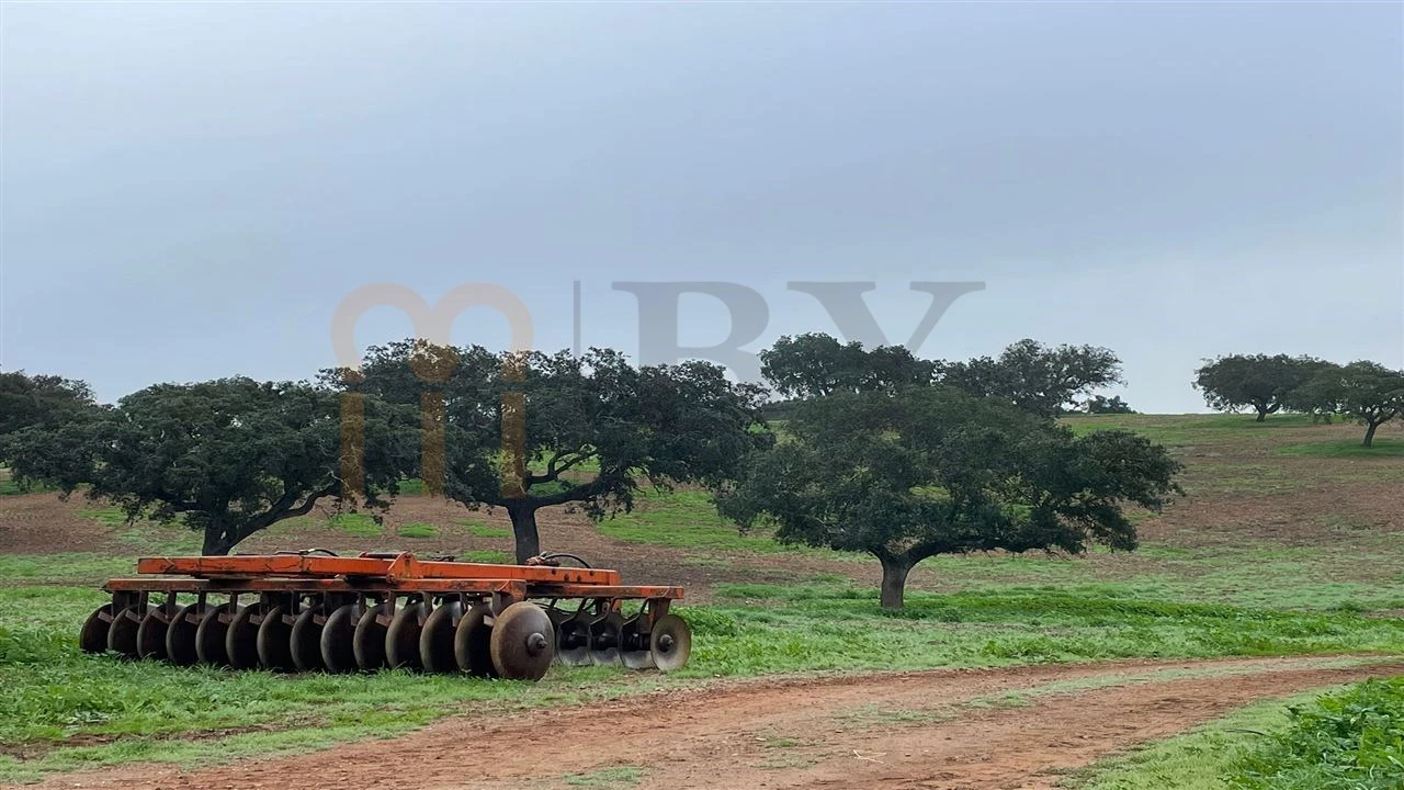Quinta para Venda em Beja (Santiago Maior e São João Baptista) Foto 4