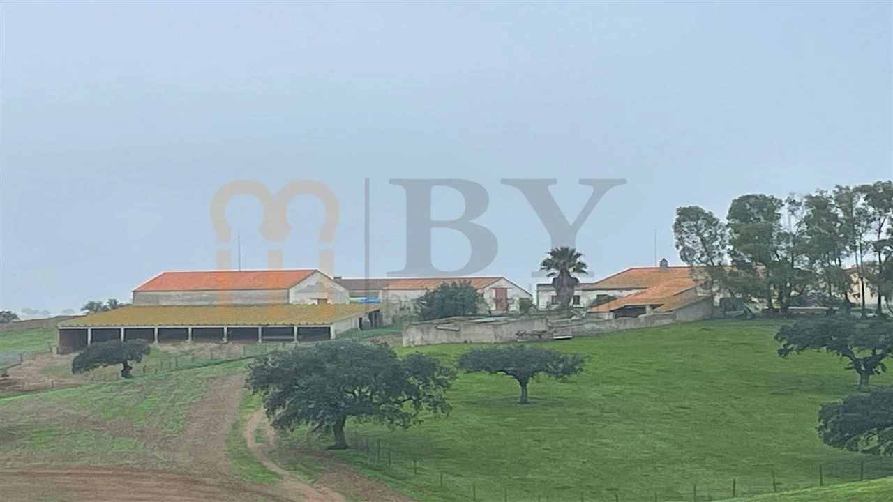 Quinta para Venda em Beja (Santiago Maior e São João Baptista) Foto 6