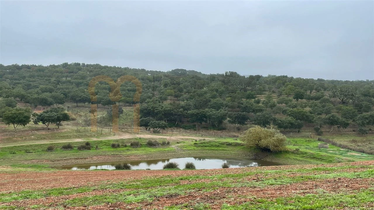 Quinta para Venda em Beja (Santiago Maior e São João Baptista) Foto 17