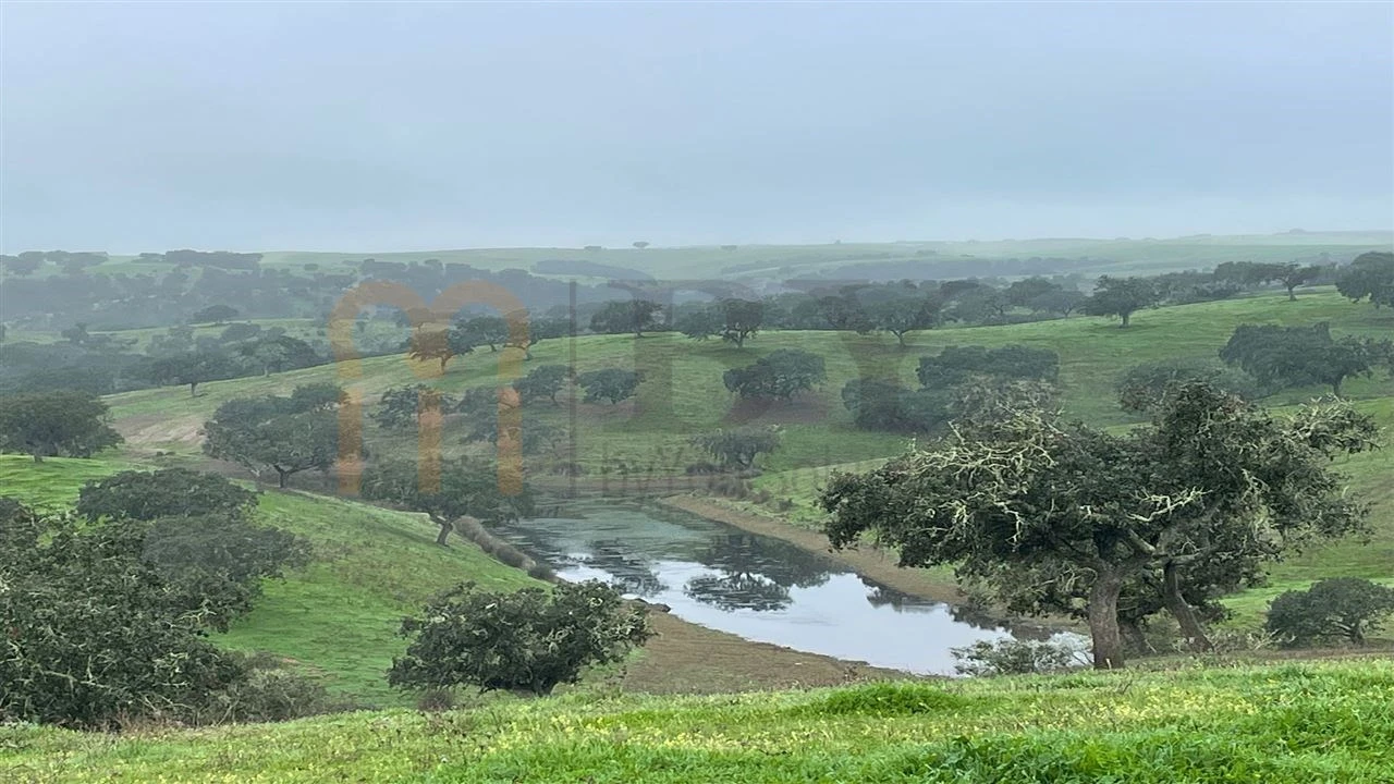 Quinta para Venda em Beja (Santiago Maior e São João Baptista) Foto 20