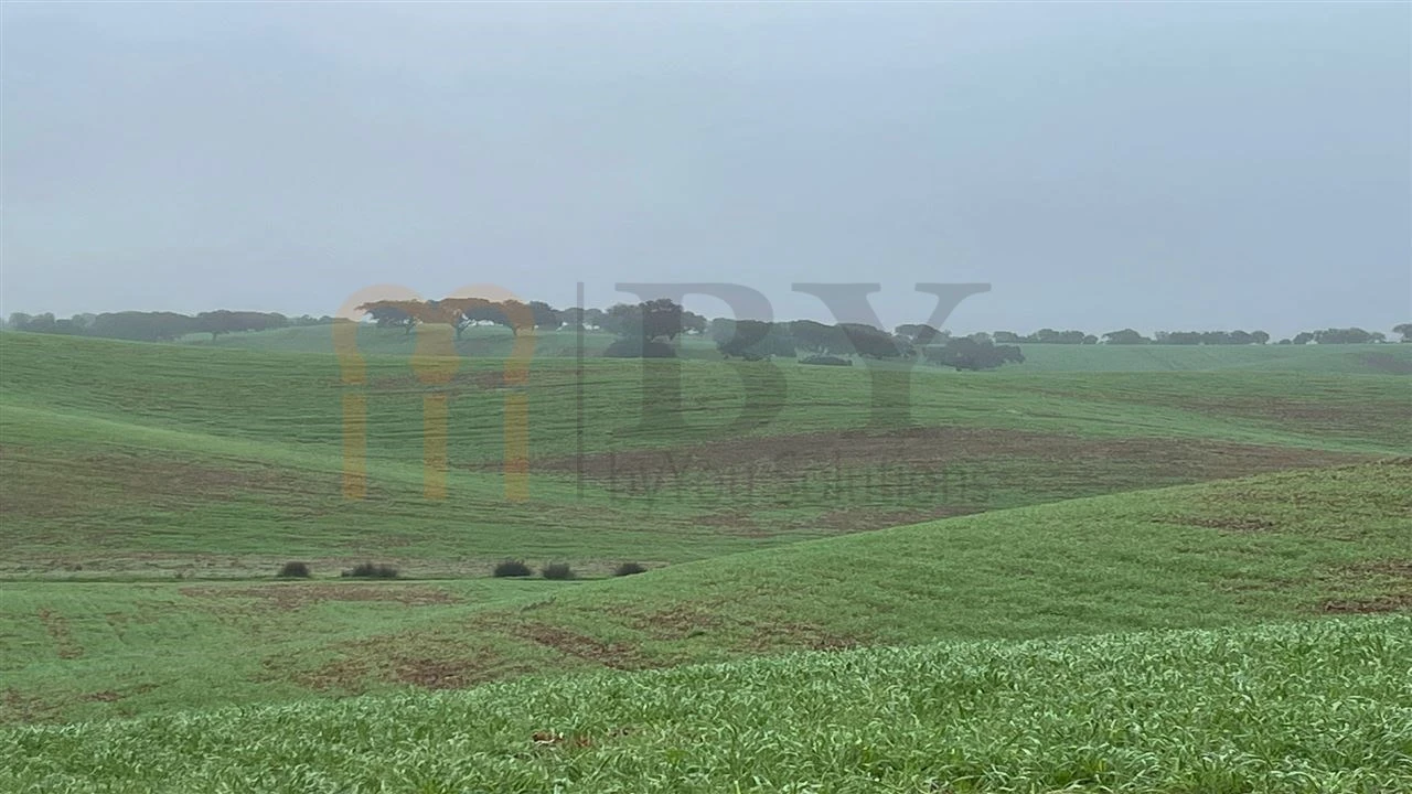 Quinta para Venda em Beja (Santiago Maior e São João Baptista) Foto 23