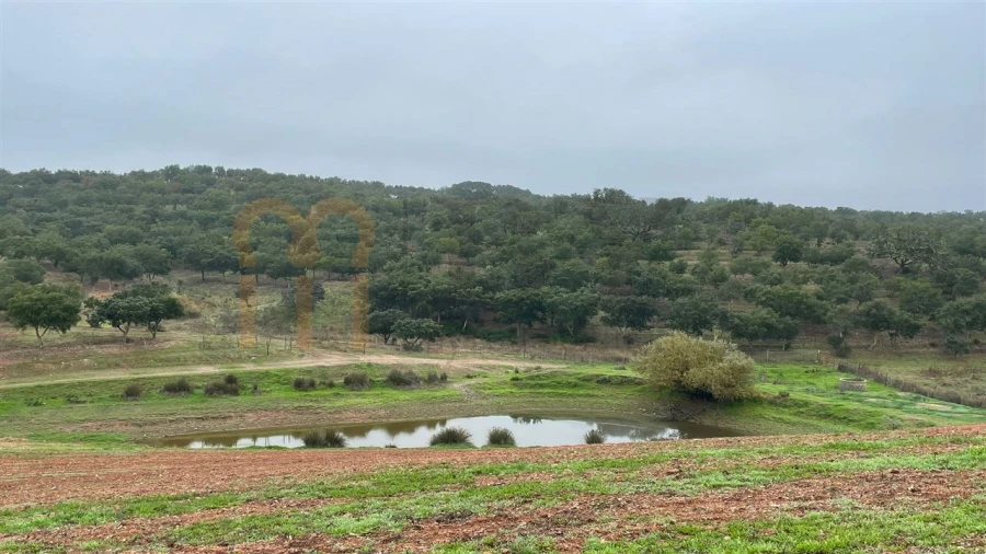 Quinta para Venda em Beja (Santiago Maior e São João Baptista) Foto 17