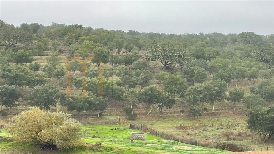 Quinta para Venda em Beja (Santiago Maior e São João Baptista) Foto 18