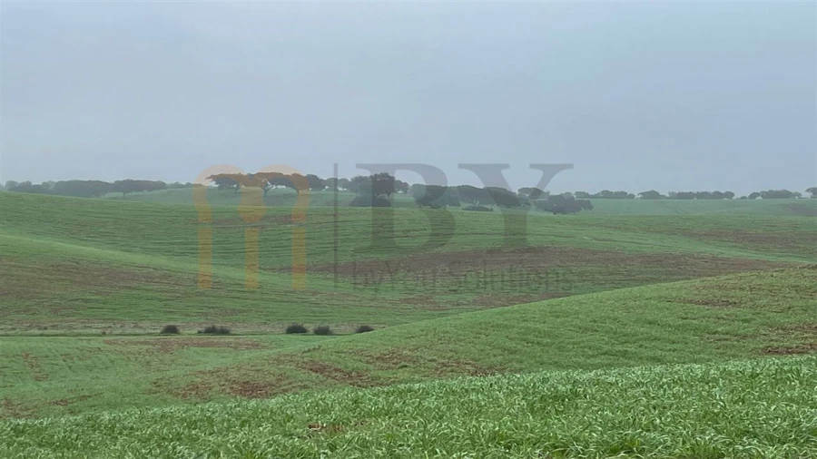 Quinta para Venda em Beja (Santiago Maior e São João Baptista) Foto 23
