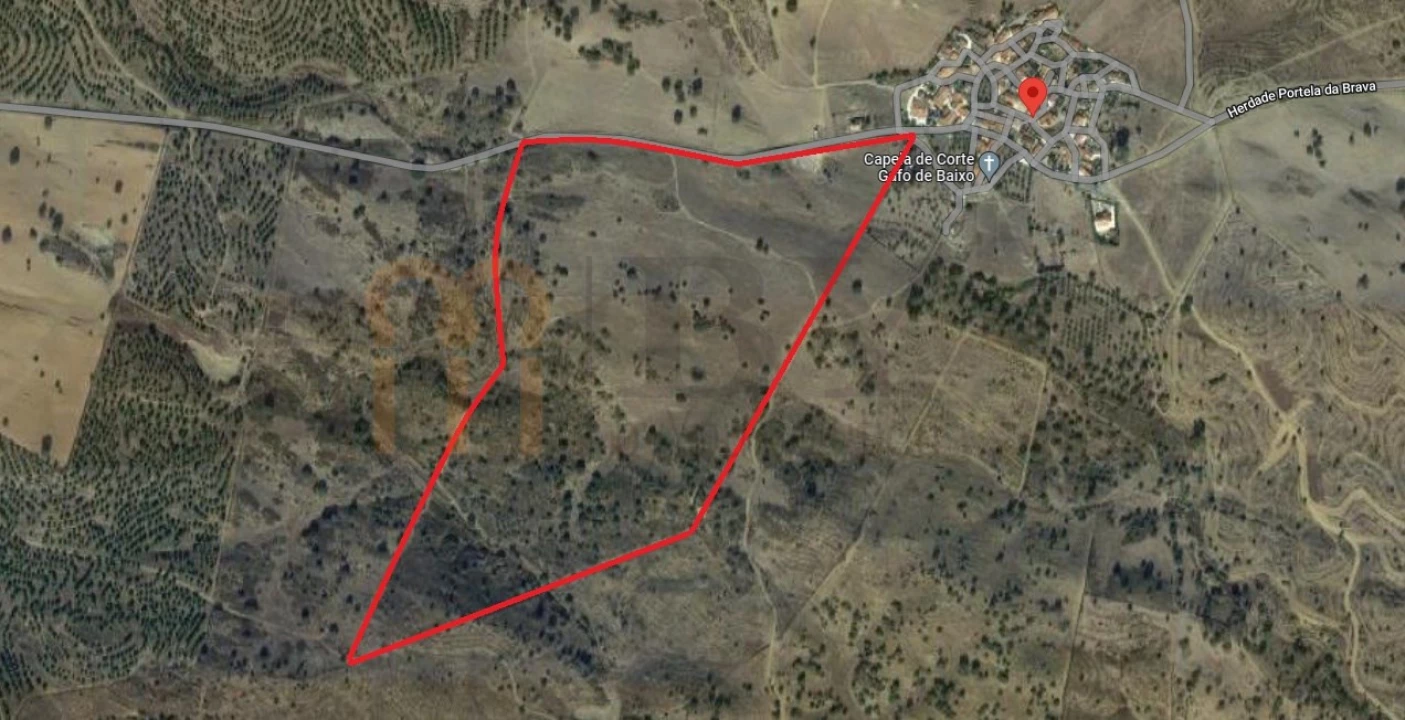 Terreno Agricola ou Rústico para Venda em Mertola Foto 9