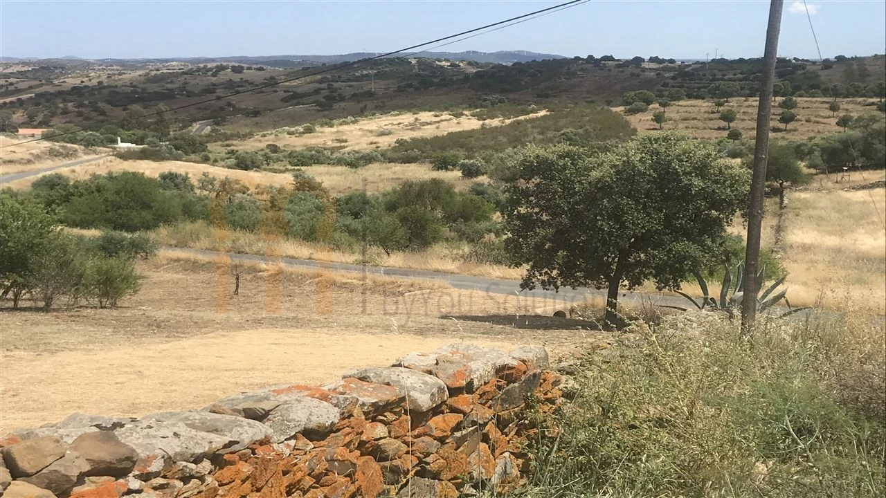 Terreno Agricola ou Rústico para Venda em Espirito Santo Foto 5