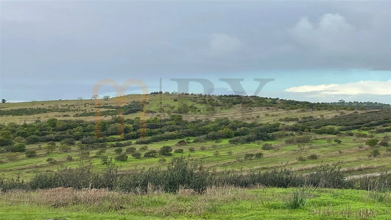 Terreno Agricola ou Rústico para Venda em Espirito Santo Foto 4