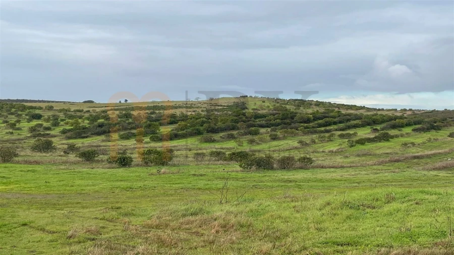 Terreno Agricola ou Rústico para Venda em Espirito Santo Foto 1