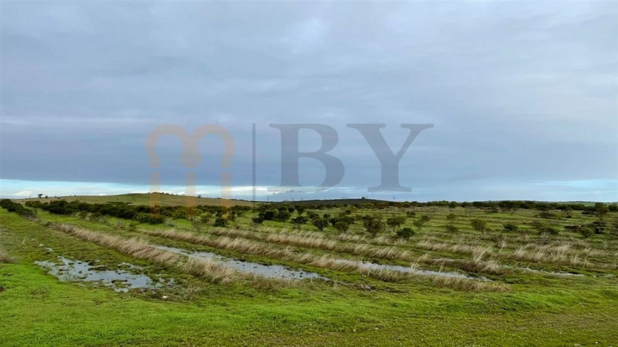 Terreno Agricola ou Rústico para Venda em Espirito Santo Foto 3