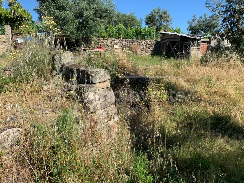 Terreno Agricola ou Rústico para Venda em Póvoa de Rio de Moinhos e Cafede Foto 4