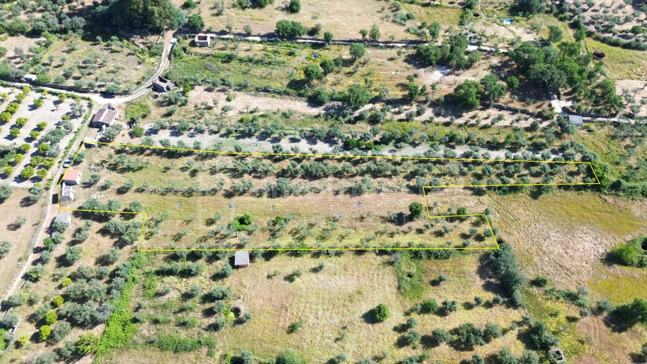 Terreno Agricola ou Rústico para Venda em Póvoa de Rio de Moinhos e Cafede Foto 10