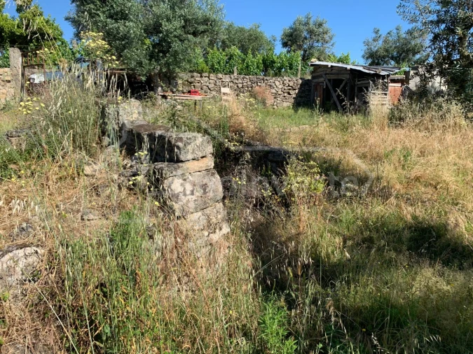 Terreno Agricola ou Rústico para Venda em Póvoa de Rio de Moinhos e Cafede Foto 4