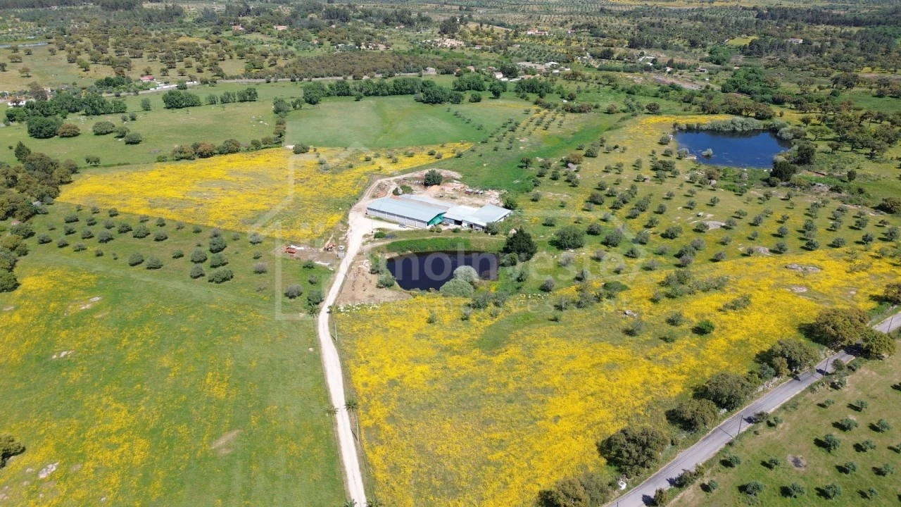 Quinta T1 para Venda em Escalos de Cima e Lousa Foto 3