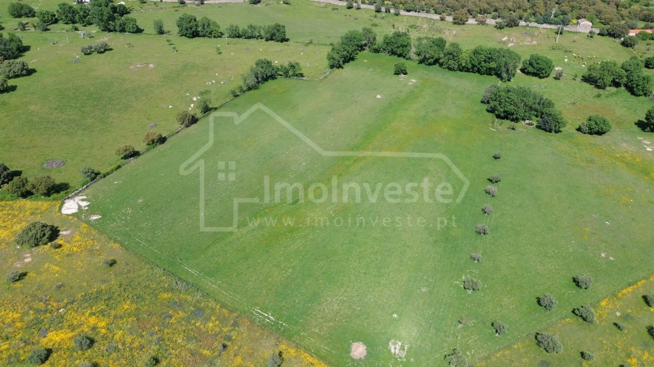 Quinta T1 para Venda em Escalos de Cima e Lousa Foto 8