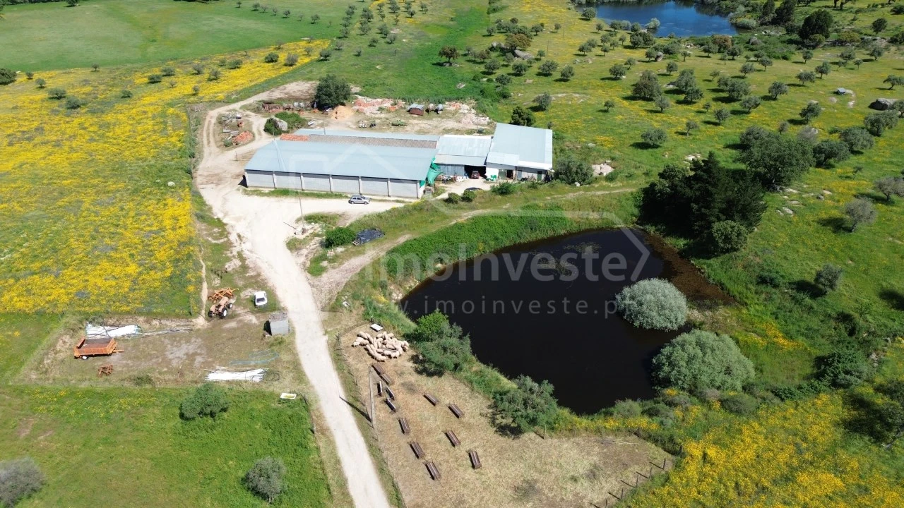 Quinta T1 para Venda em Escalos de Cima e Lousa Foto 14