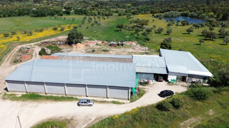 Quinta T1 para Venda em Escalos de Cima e Lousa Foto 2