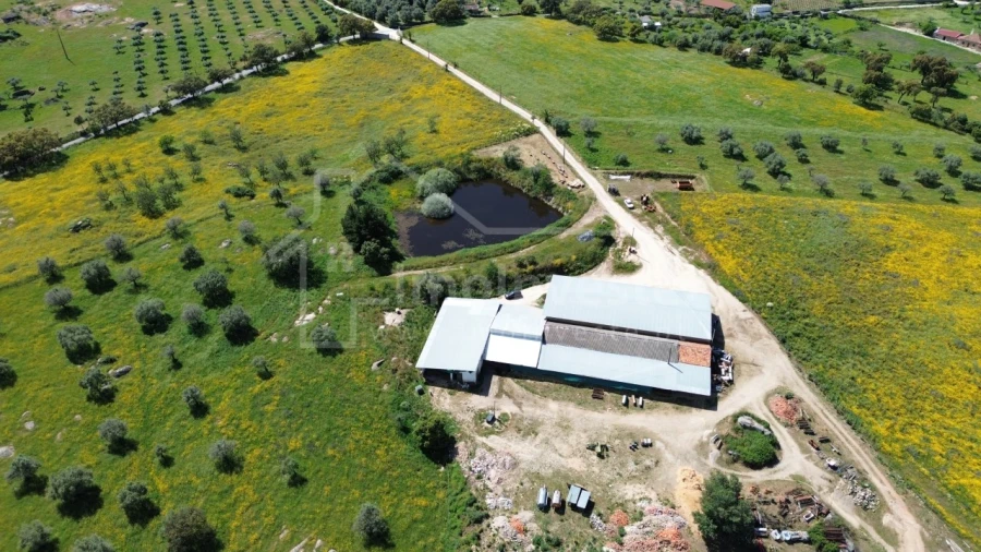 Quinta T1 para Venda em Escalos de Cima e Lousa Foto 10
