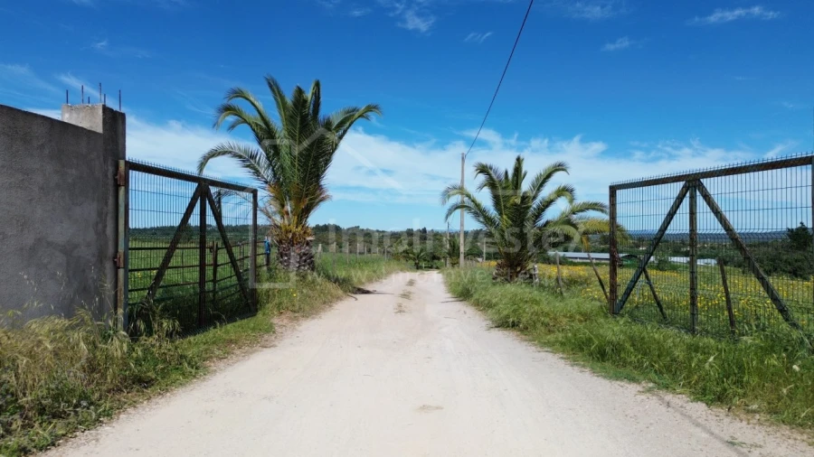 Quinta T1 para Venda em Escalos de Cima e Lousa Foto 15