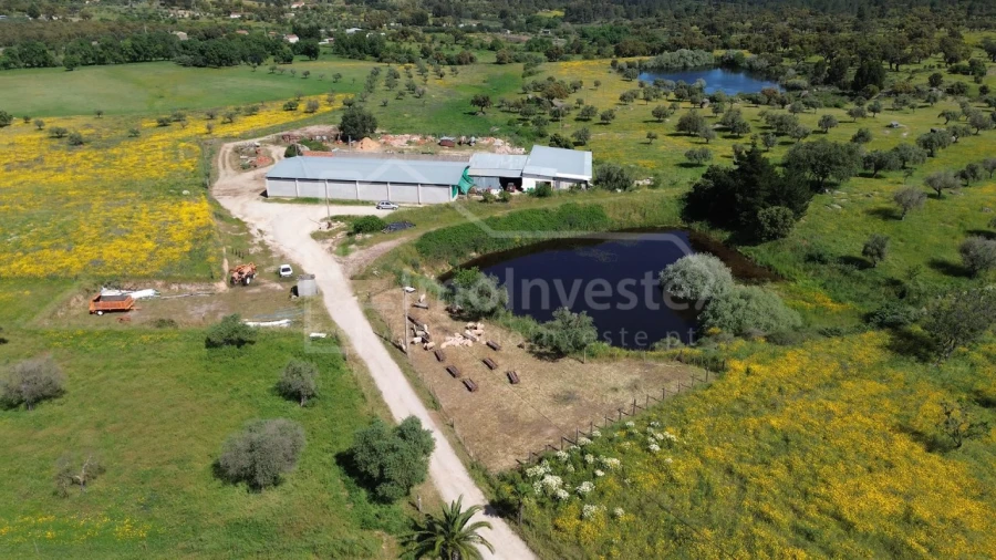 Quinta T1 para Venda em Escalos de Cima e Lousa