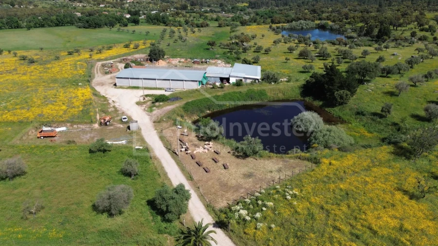 Quinta T1 para Venda em Escalos de Cima e Lousa