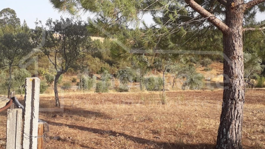 Terreno Agricola ou Rústico para Venda em Benquerenças