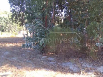 Terreno Agricola ou Rústico para Venda em Lardosa