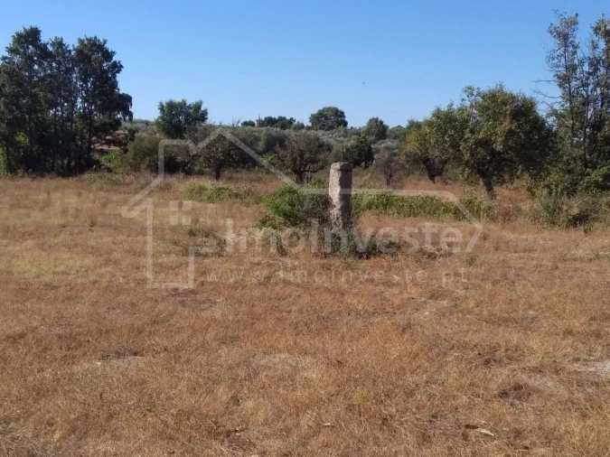 Terreno Agricola ou Rústico para Venda em Lardosa Foto 5
