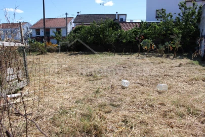 Terreno para Venda em Castelo Branco