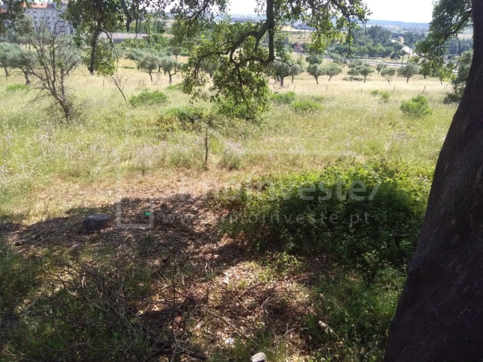 Terreno para Venda em Castelo Branco Foto 3