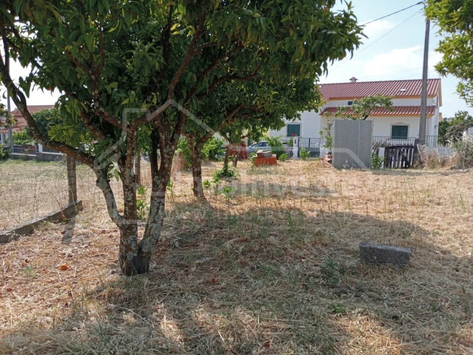 Terreno para Venda em Tinalhas Foto 3