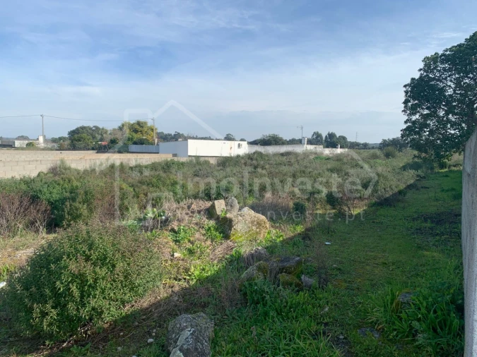 Terreno para Venda em Alcains Foto 3