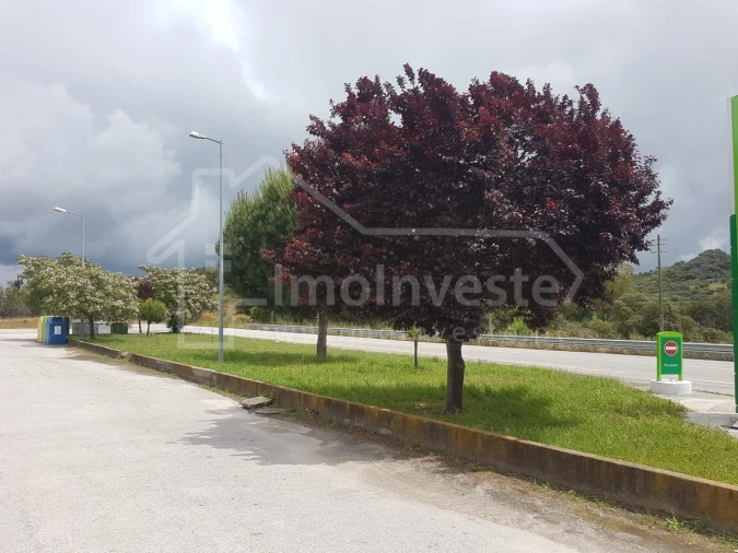 Negócio para Venda em Escalos de Cima e Lousa Foto 9