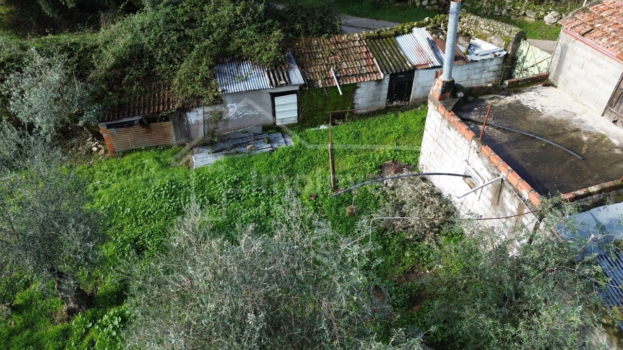 Terreno Agricola ou Rústico para Venda em Alcains Foto 2